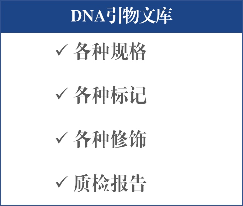 DNA引物文库