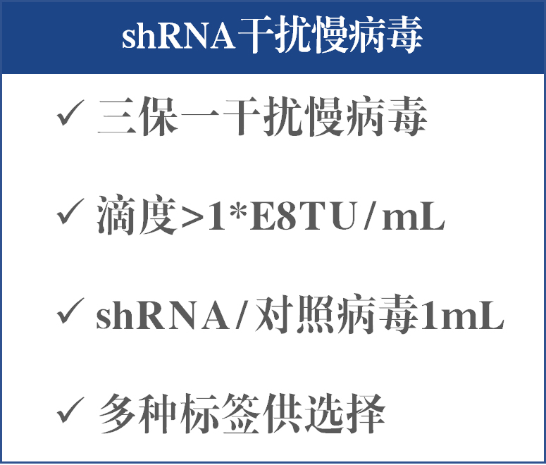 shRNA干扰慢病毒